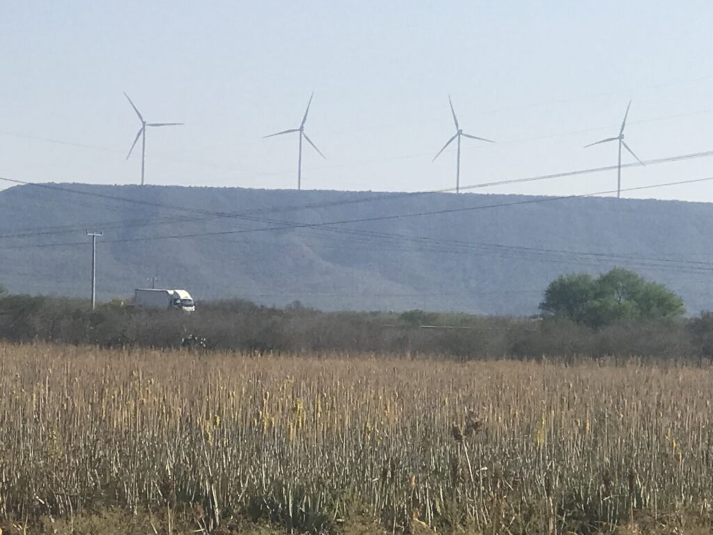 Grupo Atzavera aloe farms in Tamaulipas