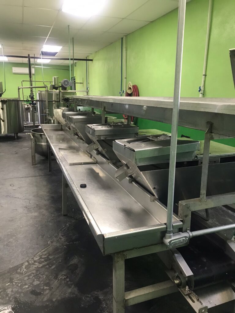 Aloe filleting machines